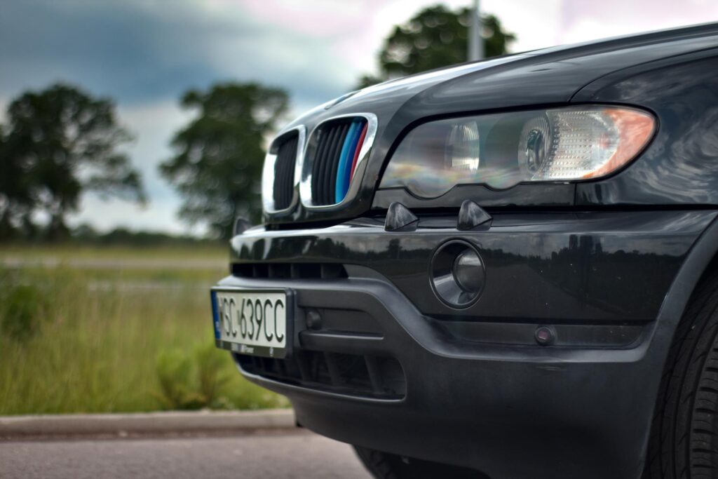 bmw x5 e53 przednia lampa grill