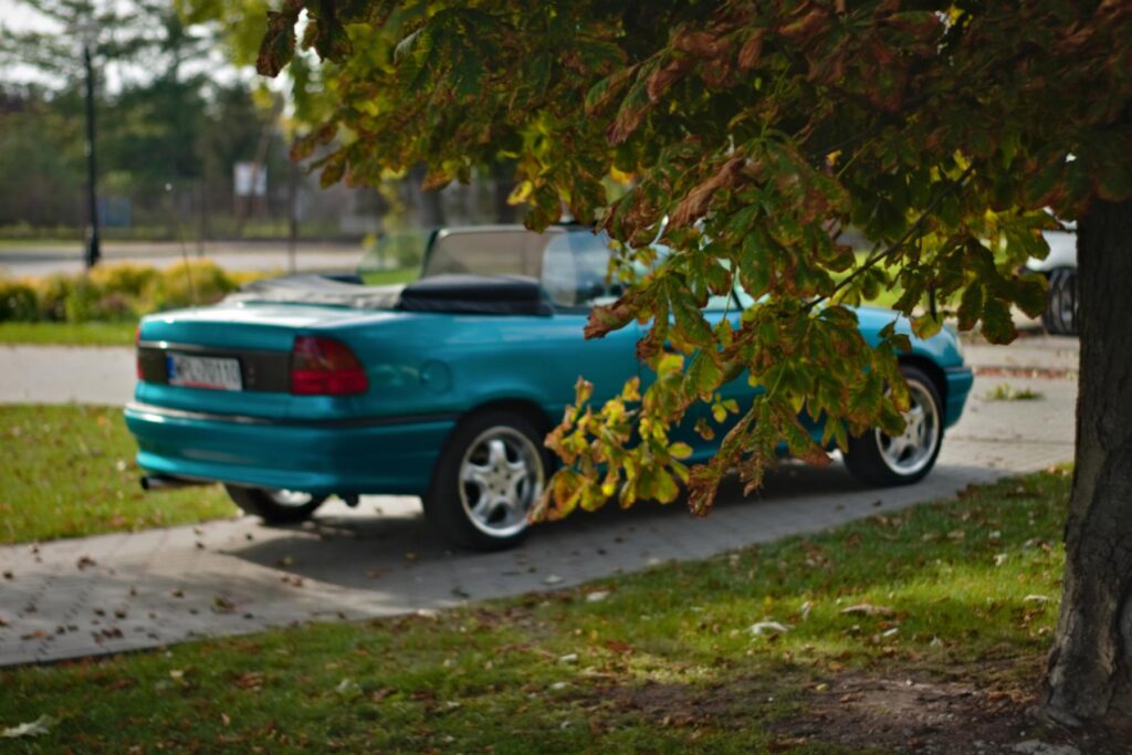 opel astra f cabrio w parku